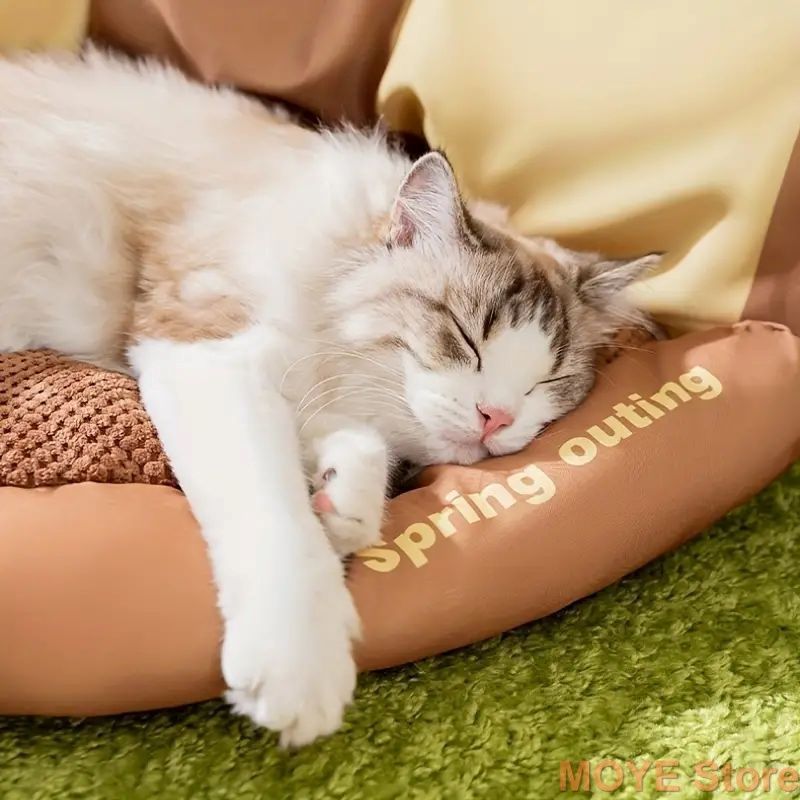 小型猫 中型猫