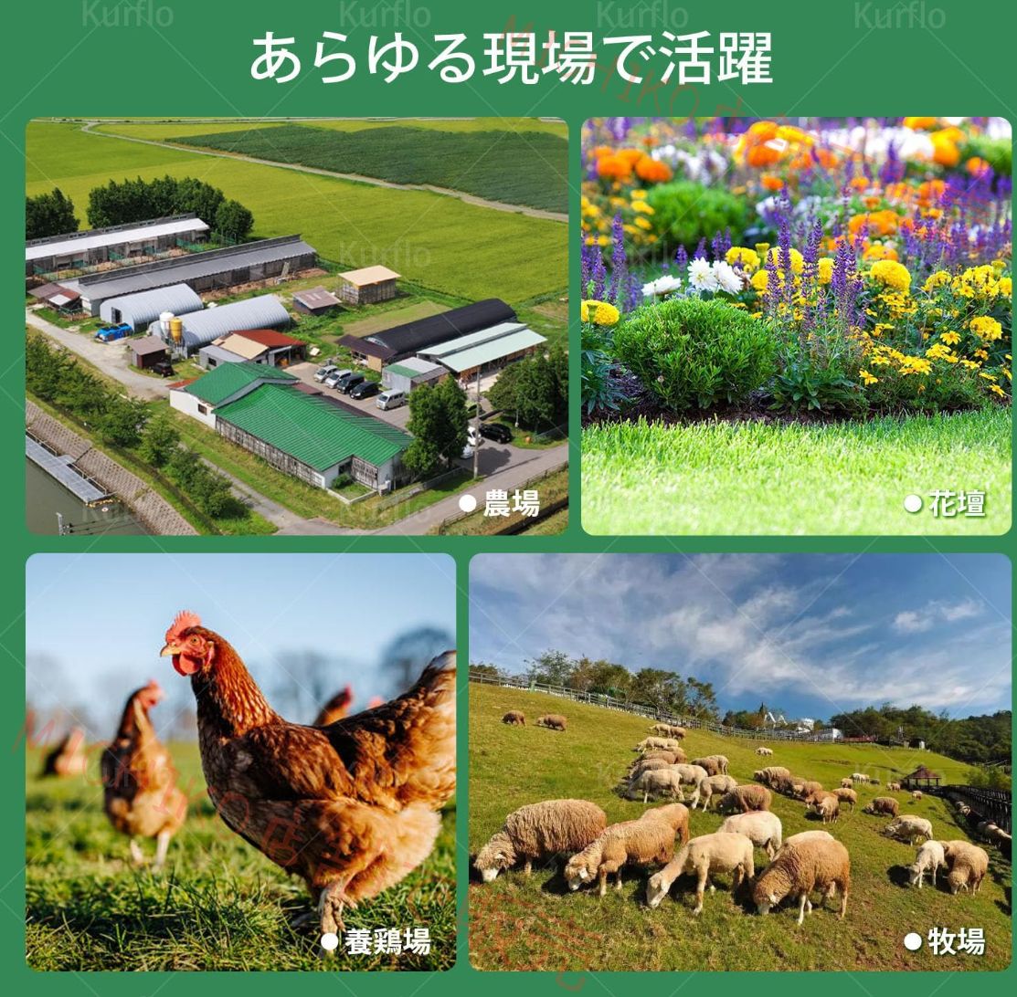 エリアシステム