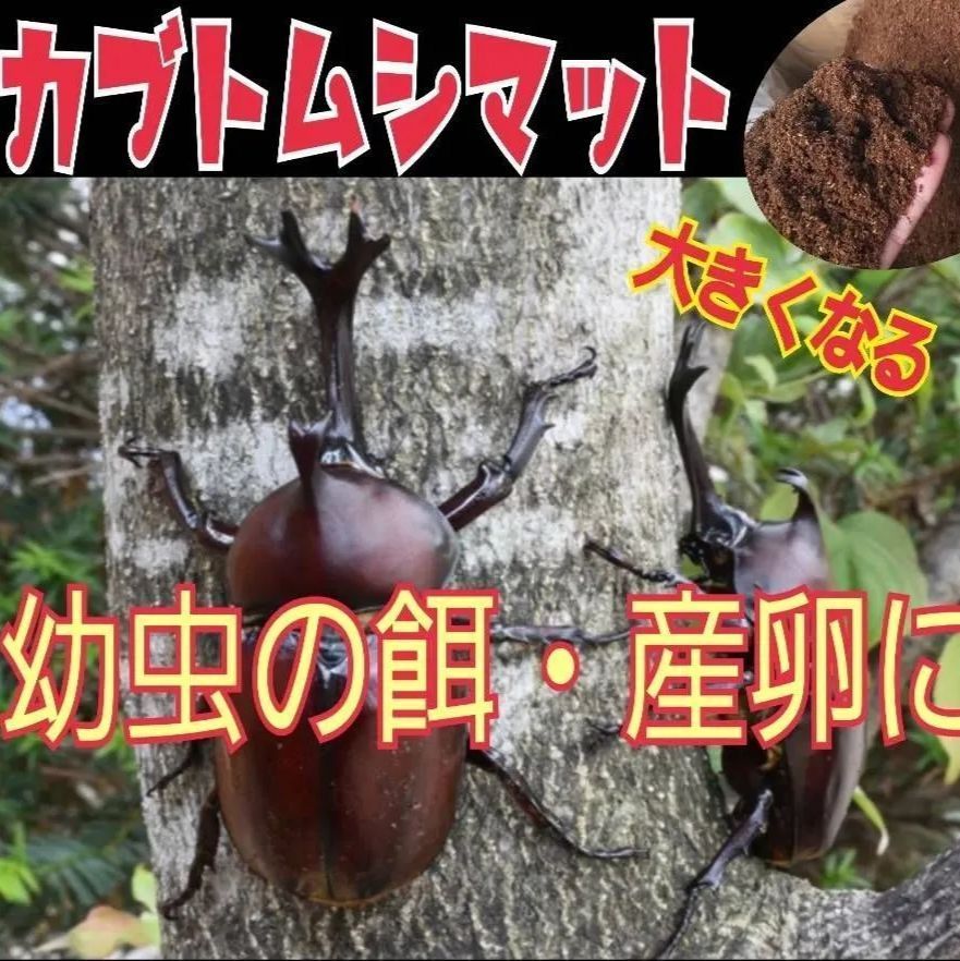 カブトムシ幼虫が丸々太る☆大量飼育に！たっぷり60L！栄養添加剤入り