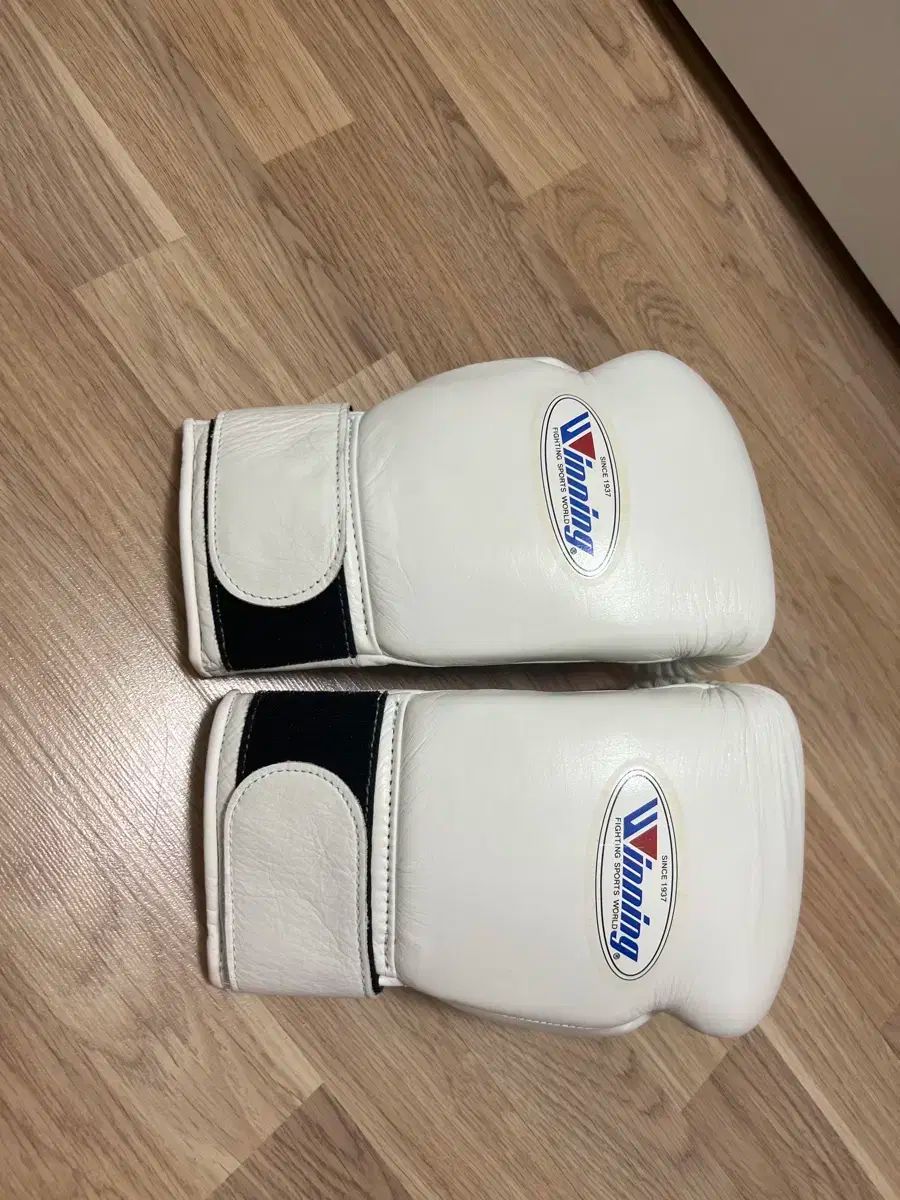 ウイニング プロフェッショナルタイプボクシンググローブ 10