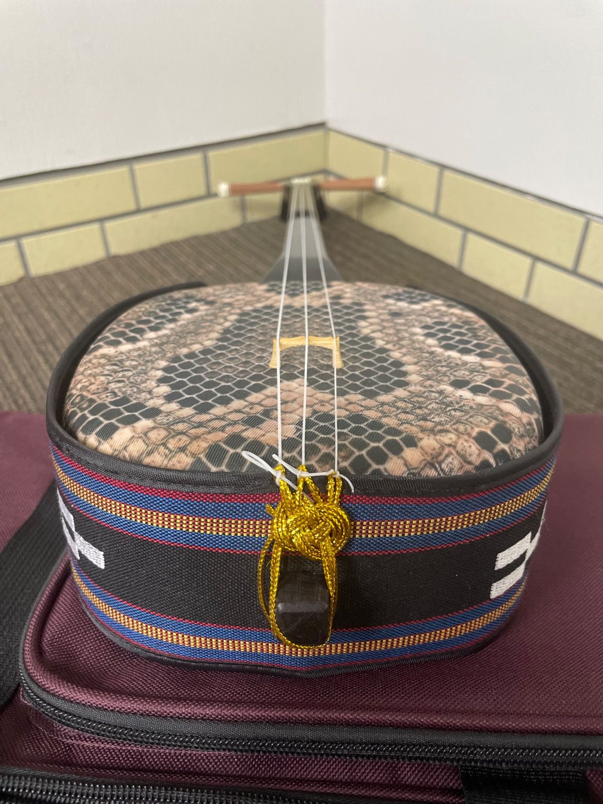 asoviva コレクション アソビバ 人工皮 三線 美品❗️ 三線 工四合