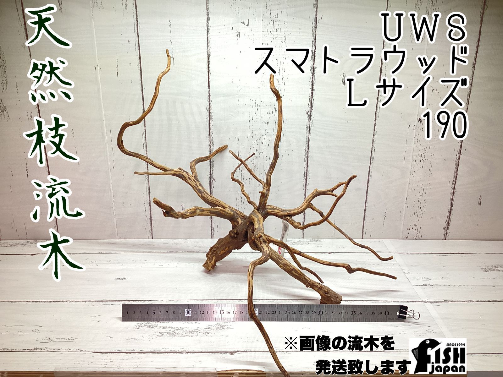 天然枝流木 UWS スマトラウッド Lサイズ 190 画像の流木を発送致します み 流木