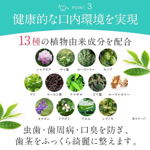 ホワイトニング歯磨き粉 ホワイトニングジェル2本