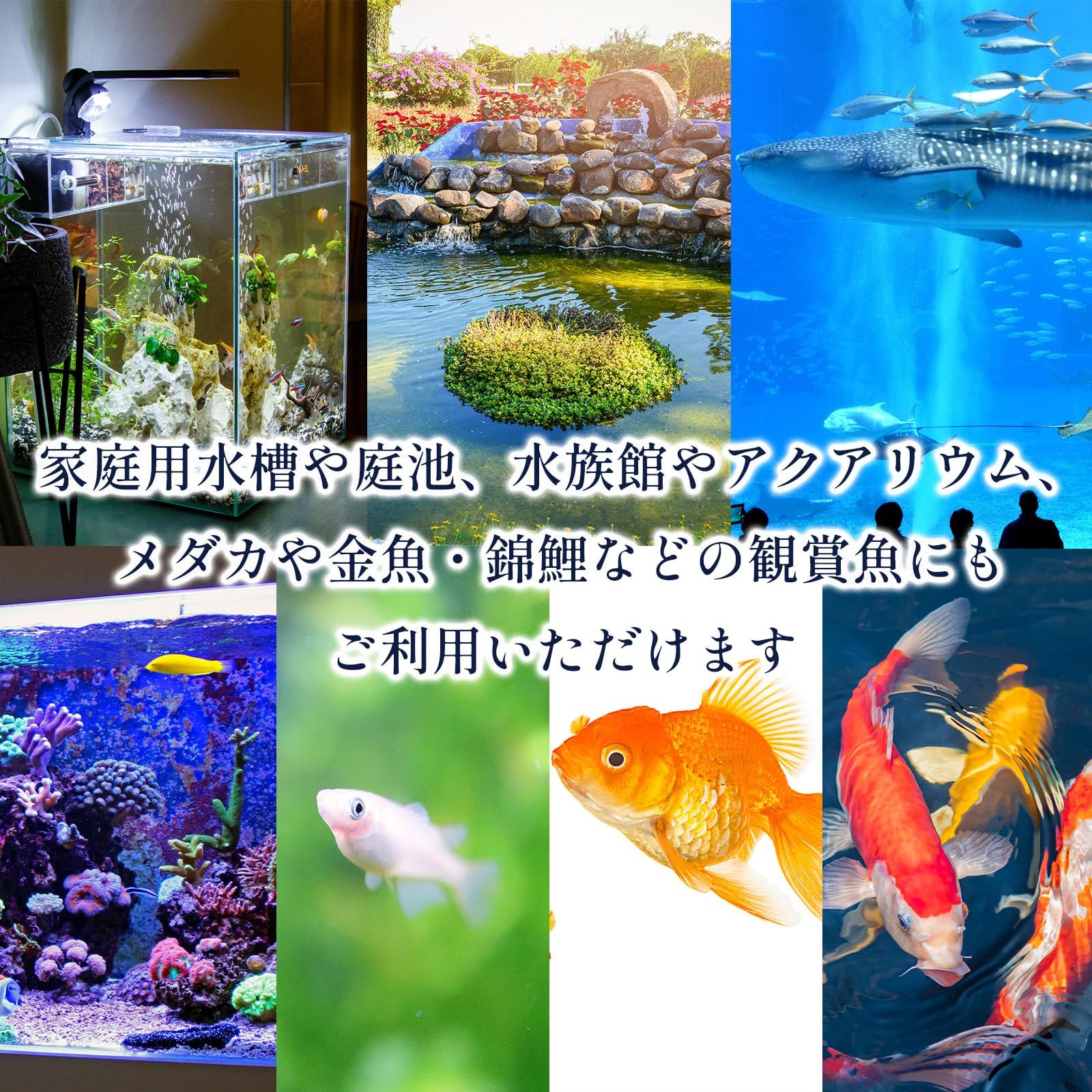 MONOSTORE エアーストーン 50mm 水槽 メダカ 水耕栽培 アクアリウム 金魚 飼育 熱帯魚 酸素 水族館 バブル 錦鯉 ブクブク グレー  10個 [10] - メルカリ