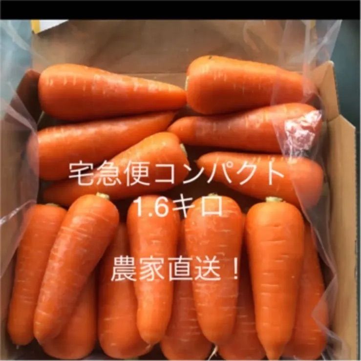 人参コンパクトサイズ - 野菜