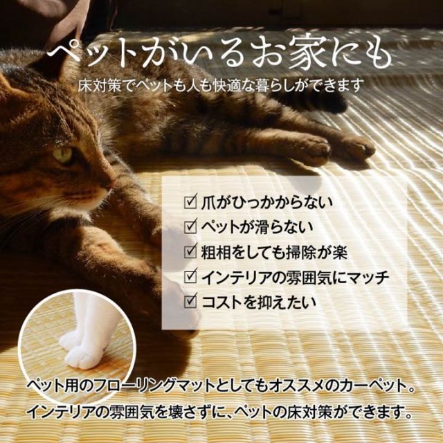 洗える PPカーペット アウトドア ペット ネイビー 本間6畳（約286