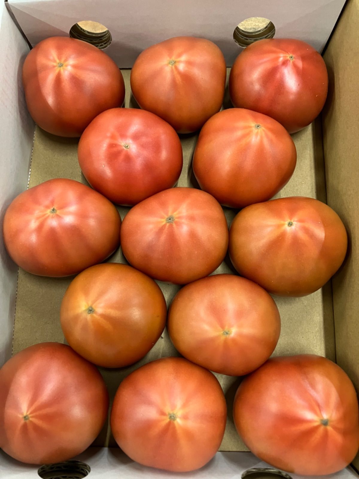 新鮮野菜