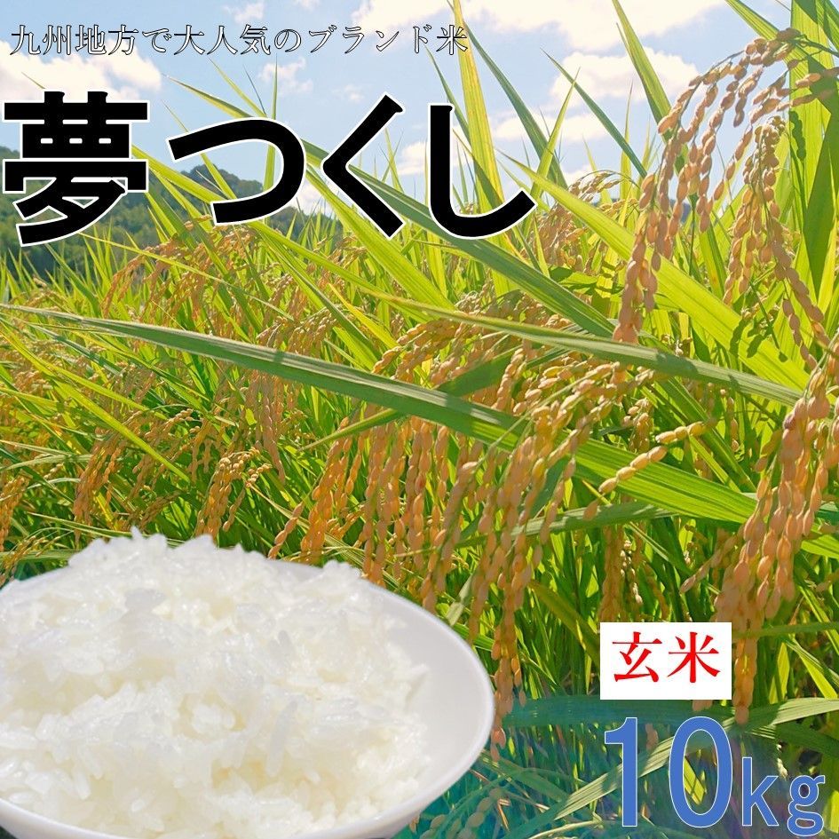 玄米　夢つくし　10kg　米/穀物　4年産　お米