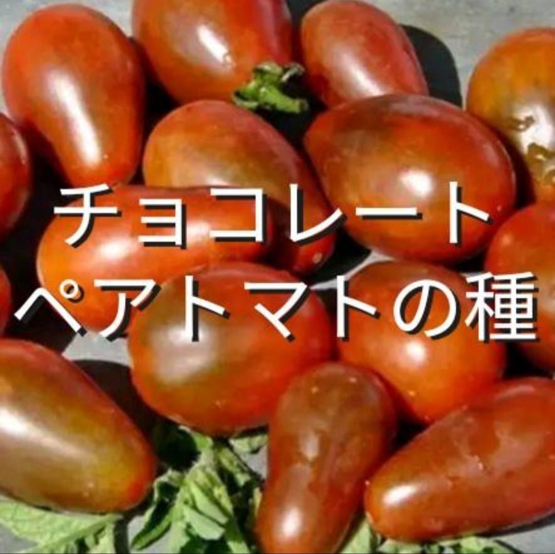 チョコレートペアトマトの種(自然栽培) - メルカリ