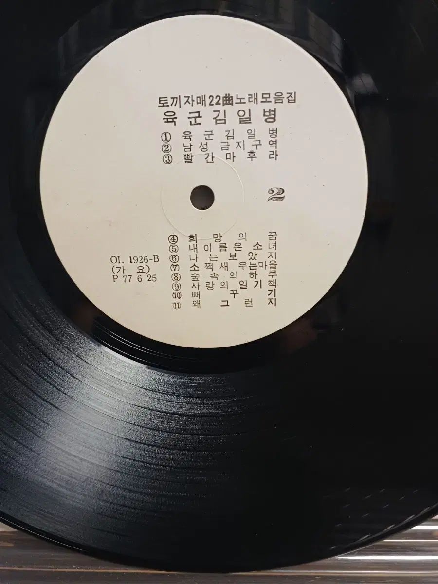 バニーガールズ