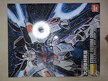 中古】MG 1/100 ストライクフリーダムガンダム メカニックデザイナー