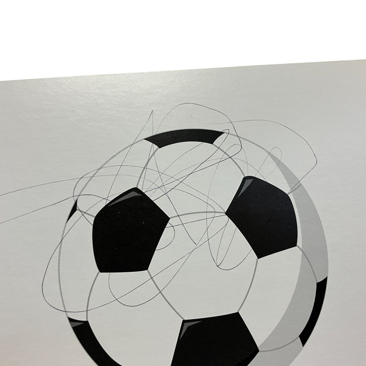 かな絵ちゃん フラッシュ カード AB 1200枚