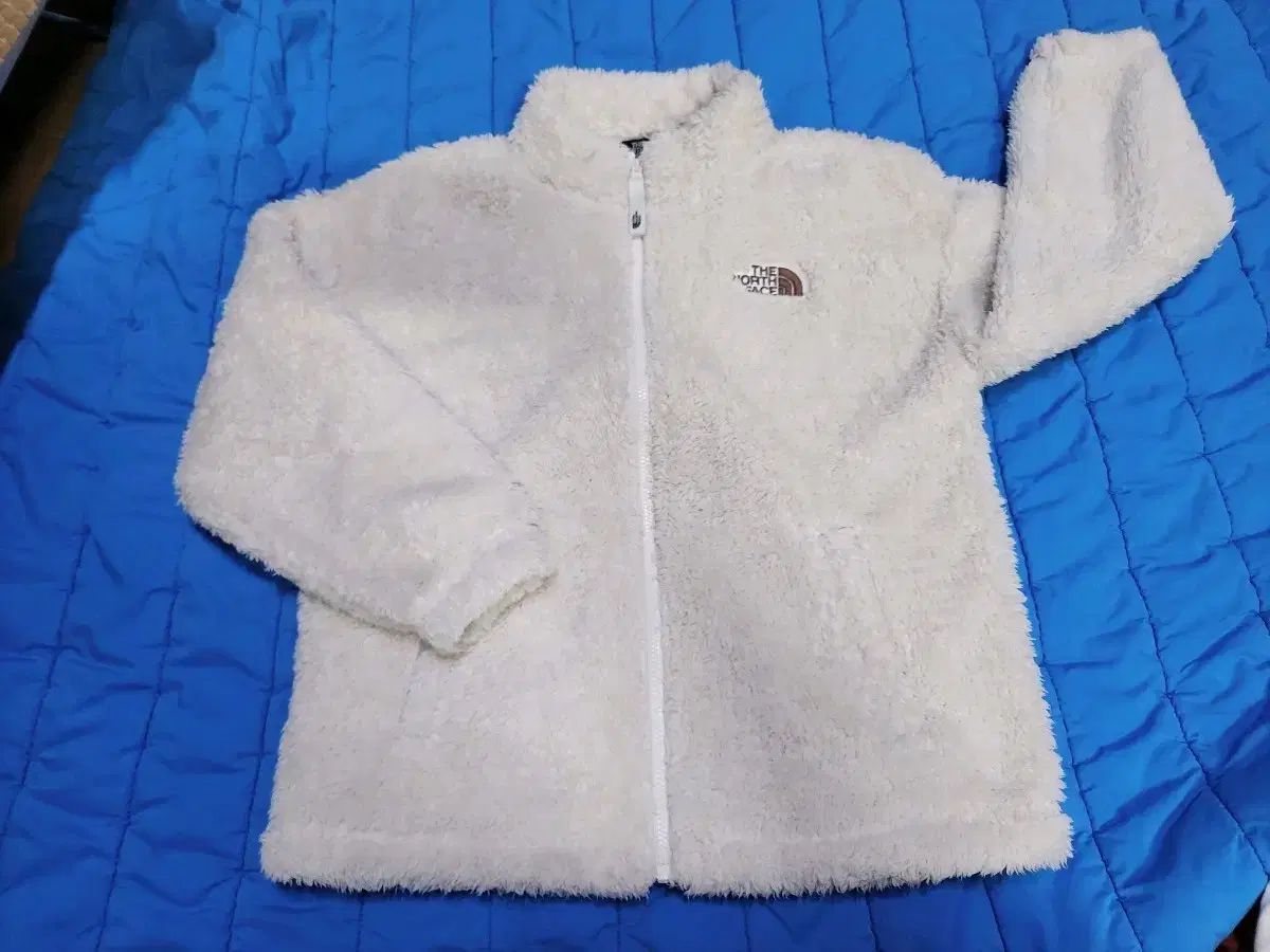 一式龍神様陶器ペン色とりどり