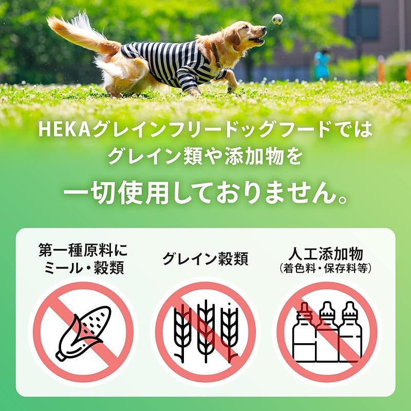 グレインフリー ドッグフード