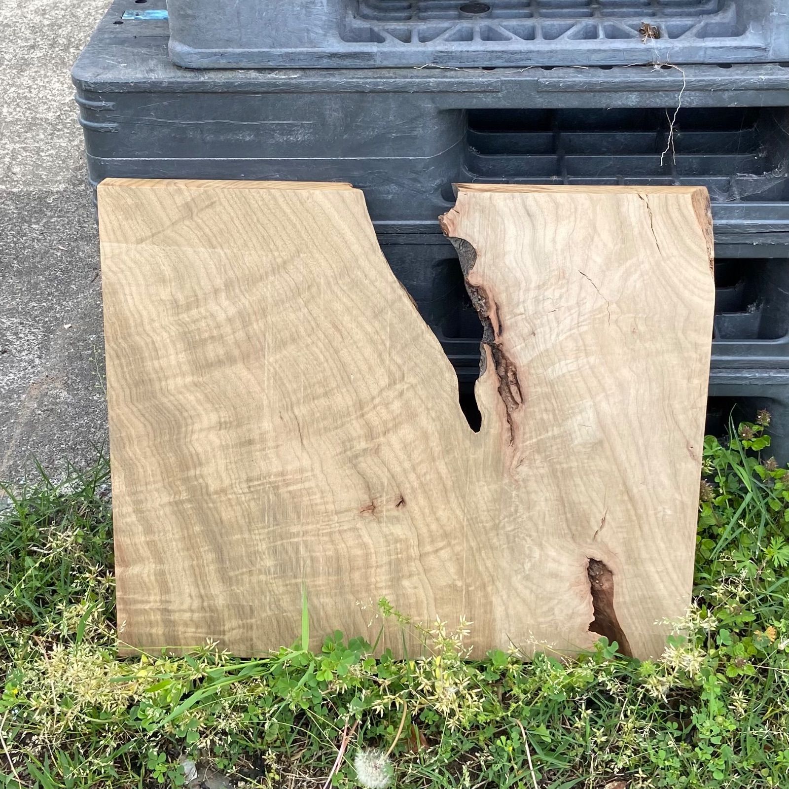 神代クス 木材 楠 無垢材 銘木 木工作品 手作り家具 インテリア