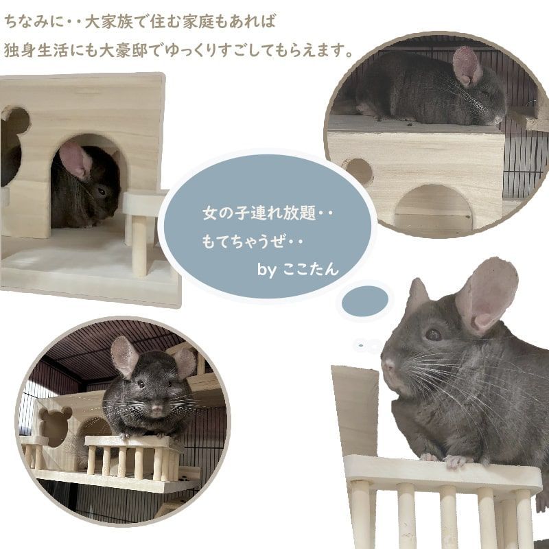 新品未使用 チンチラ ケージ ハウス 木製 ゲージ （チンチラ