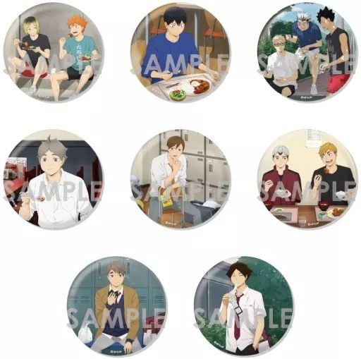 中古】バッジ・ビンズ 全8種セット 「ハイキュー!! トレーディングBIG