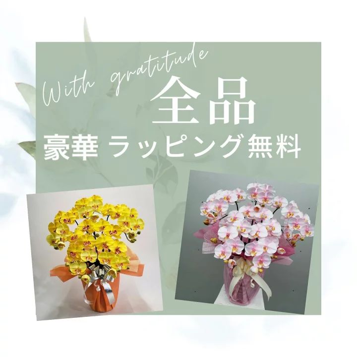 おはな 胡蝶蘭S/5F/ピンク（造花）高約50×幅40 光触媒コーティング