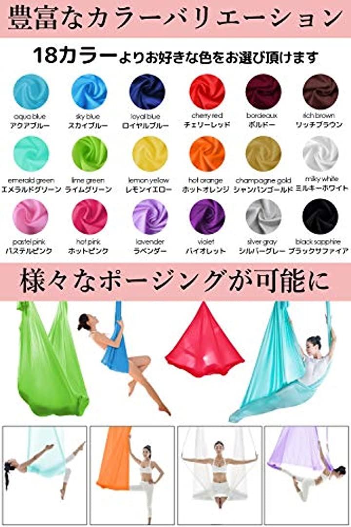 GiGant ギグアント 公式 エアリアルヨガ 専用 ハンモック オンライン