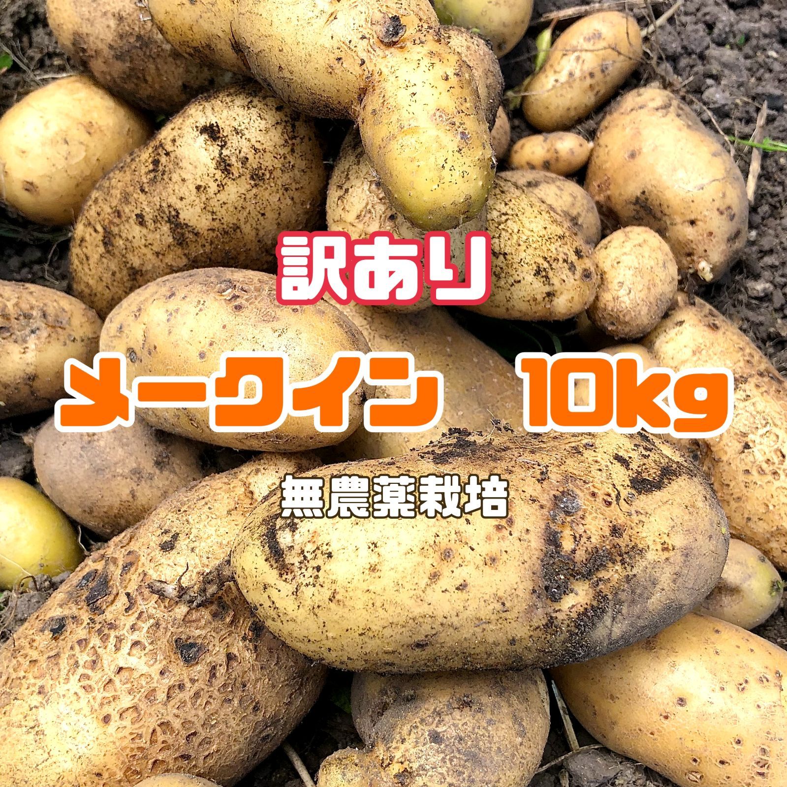 訳あり品 メークイン 箱込み 10kg - 野菜