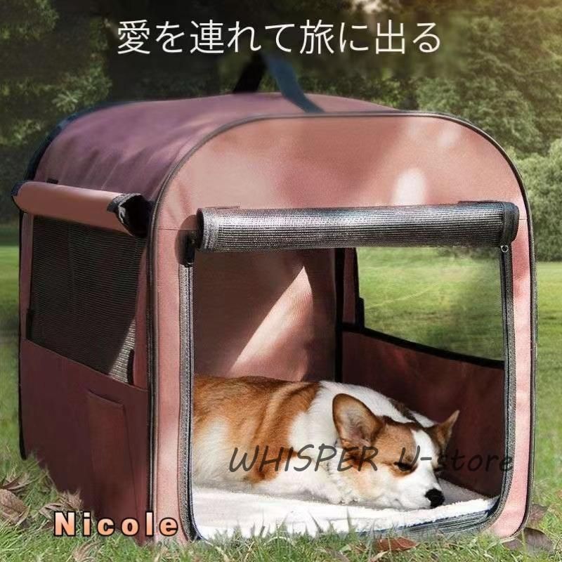 犬