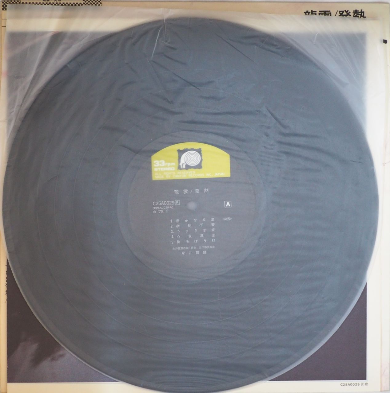 龍雲 発熱 12インチレコード 　永井龍雲　見本盤 龍雲 発熱 12インチレコード 永井龍雲 見本盤 - メルカリ