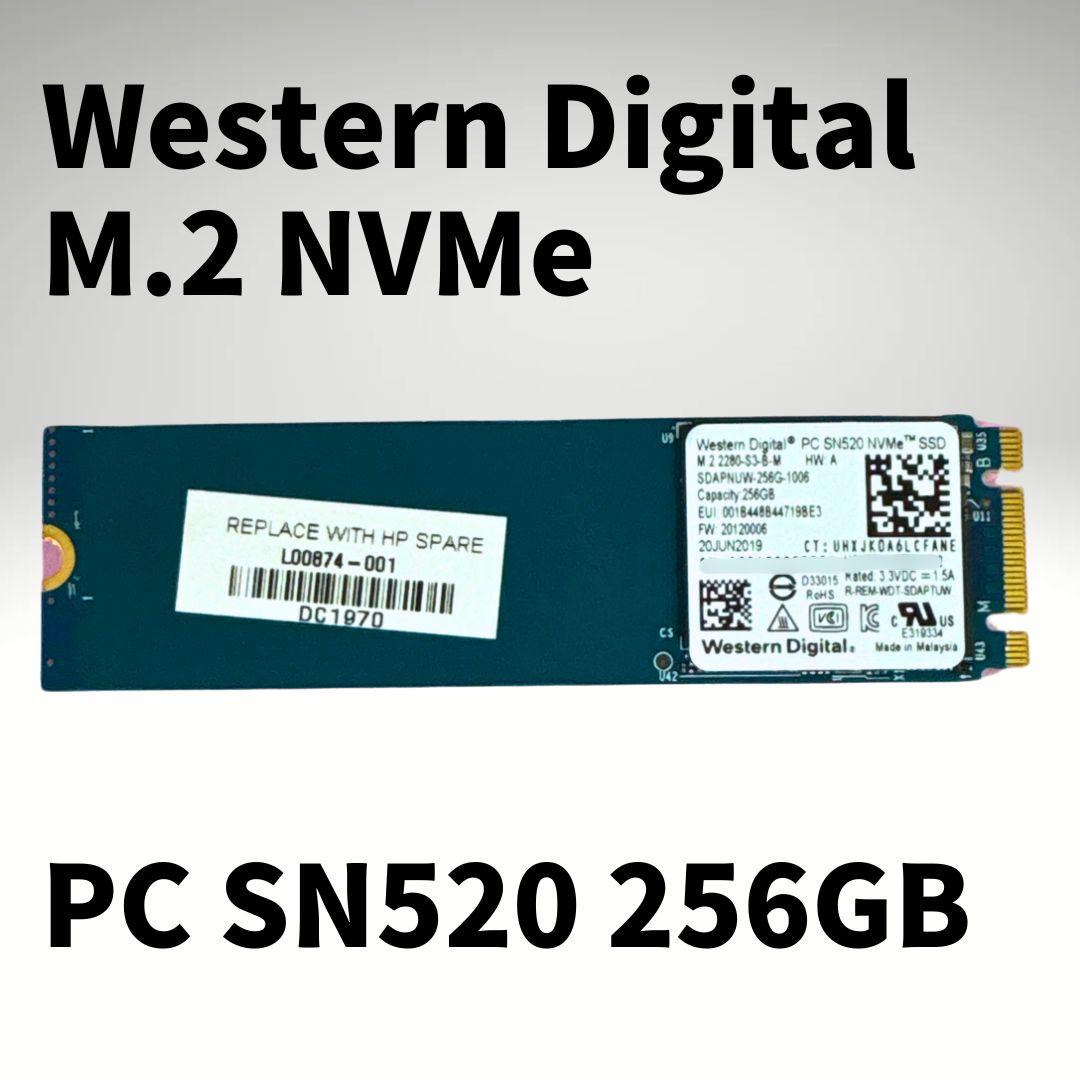 中古】256GB M.2 NVMe SSD (健康90%以上) - PasonetTE