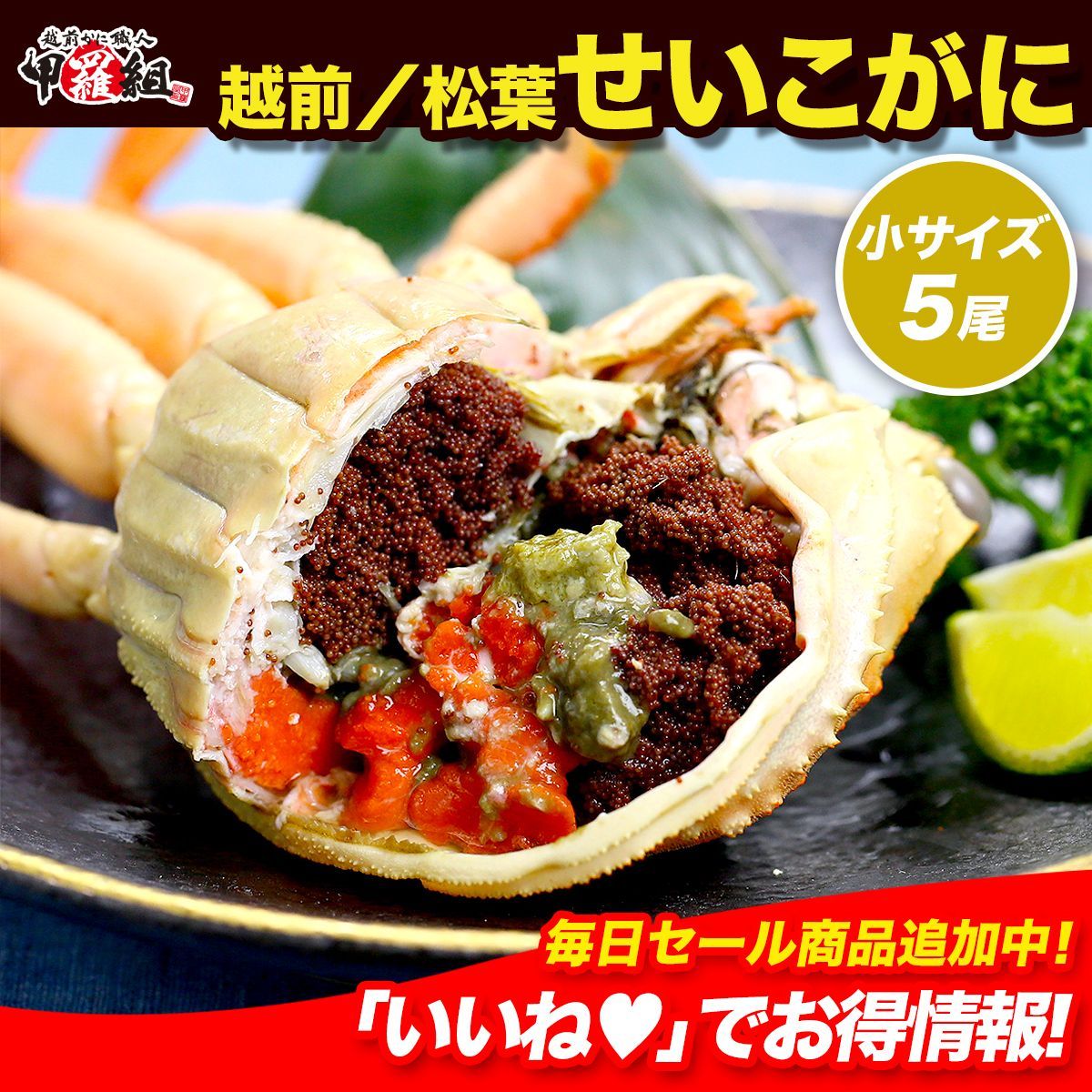 ? 浜茹で急速冷凍 ?越前|松葉せいこがに? 小サイズ×5尾 セイコガニ かに カニ 蟹 甲羅組
