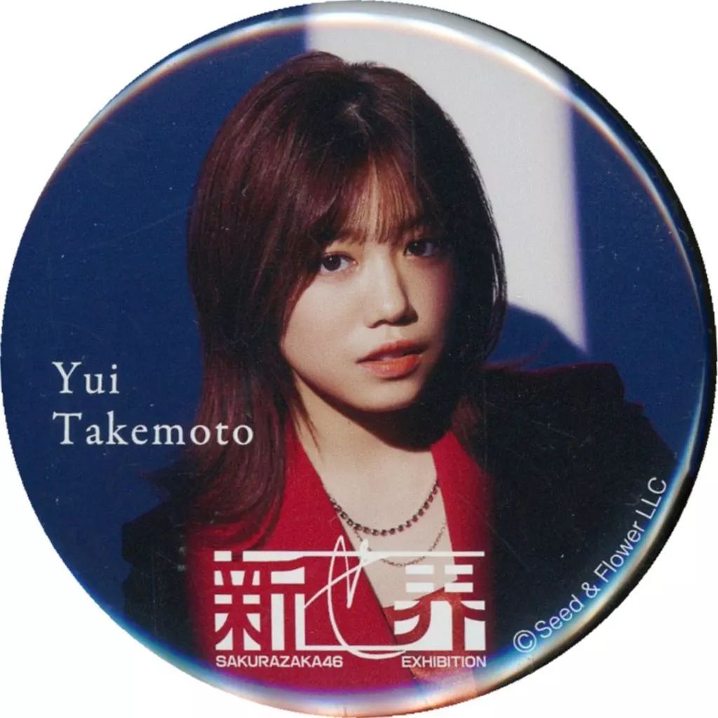 櫻坂46 新せ界 ピンバッジ　BAN 櫻坂46 新せ界 ピンバッジ BAN 櫻坂46展 『新せ界』ファブリックバッジ