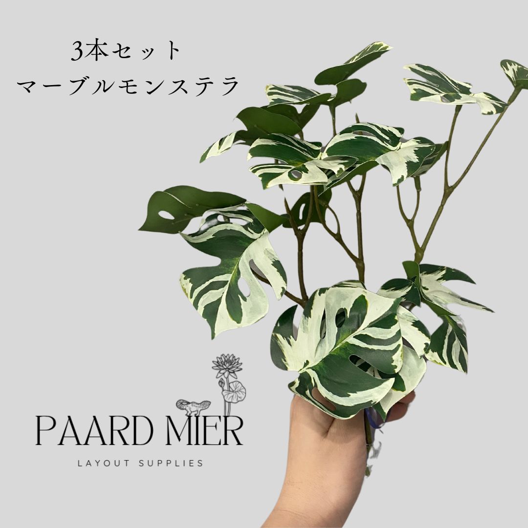 Taorun様 リーフ類