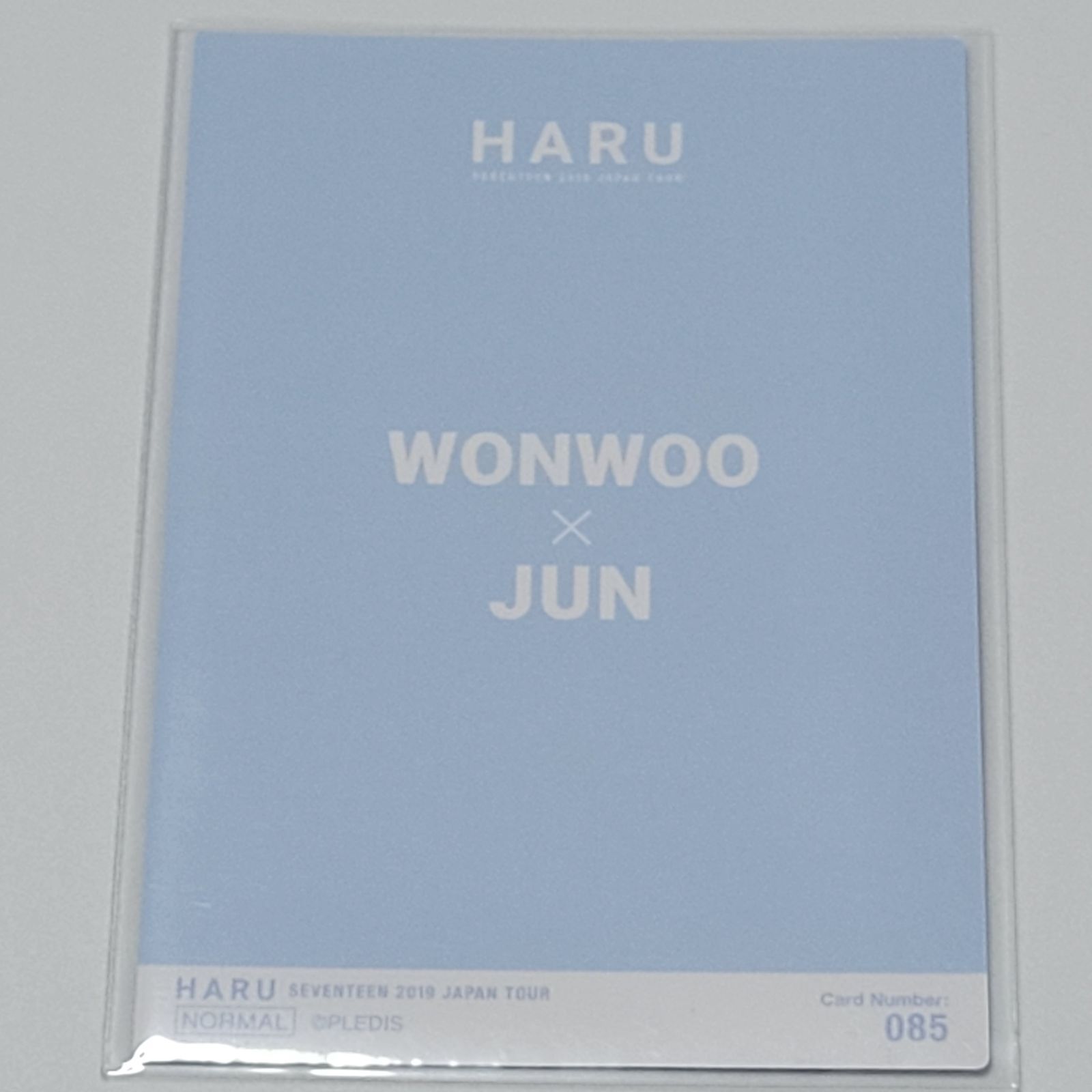 HARU ペア 2019 ジュン ウォヌ ウジ - thetravelleryogi.com