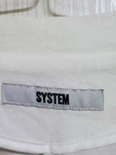SYSTEM