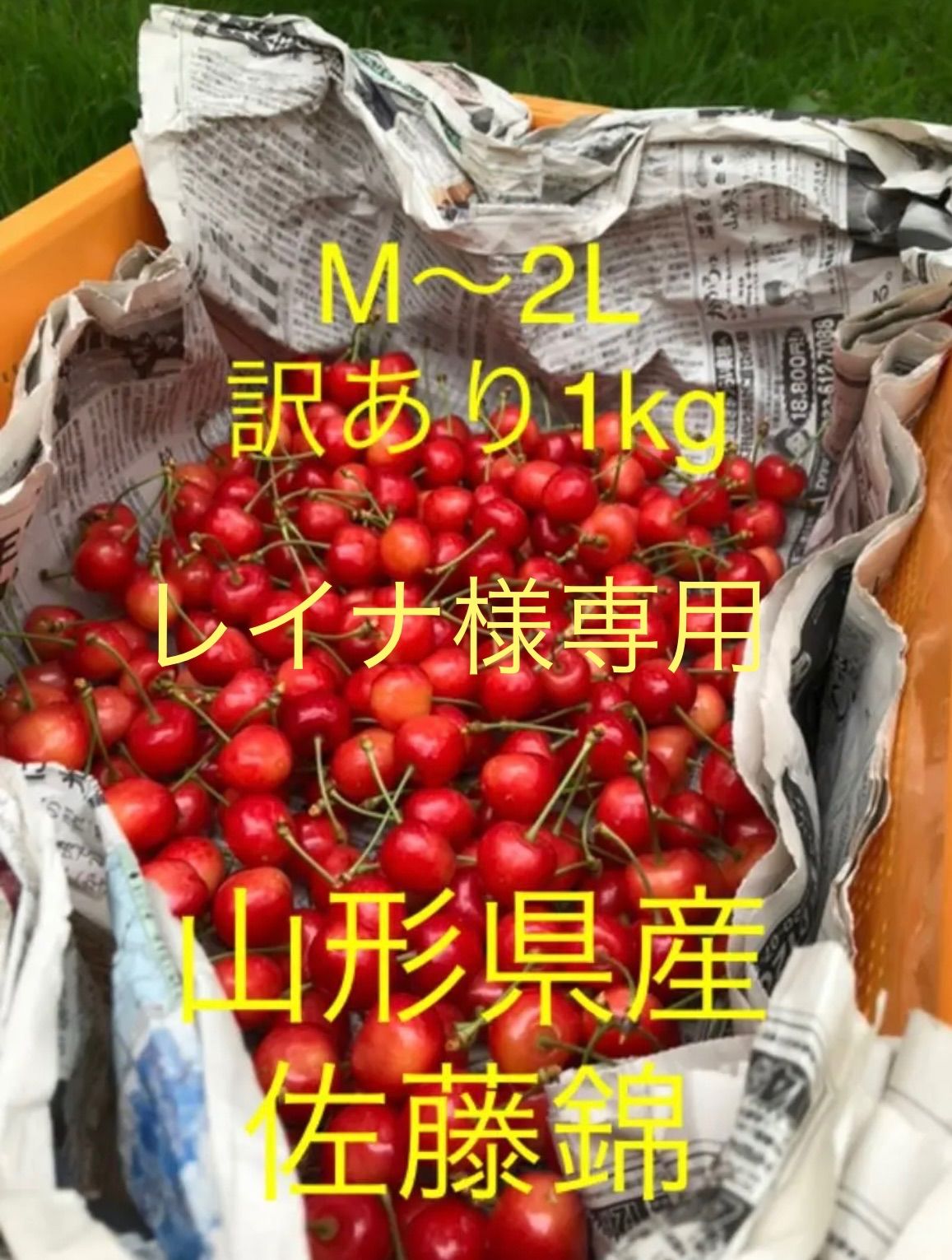 19 訳あり　2kg　さくらんぼ　佐藤錦　箱込み重量約2kg　Mサイズ中心