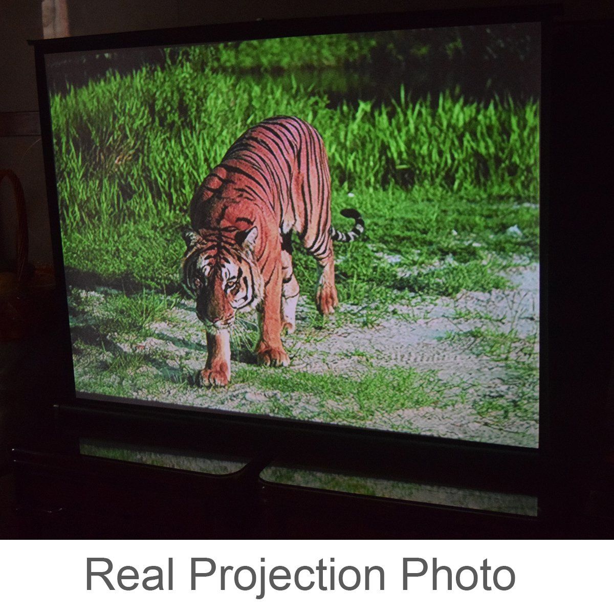 迅速発送 Cocar ポータブル プロジェクタースクリーン モバイル自立式床置き型 ホームシネマプロジェクター用 引き出す型 40インチ 4 3汎用