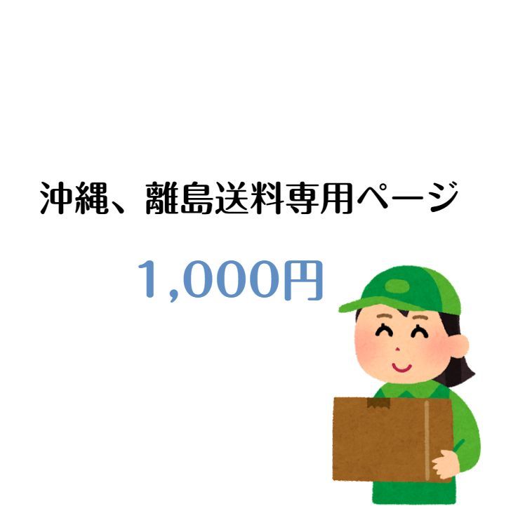 沖縄、離島 追加送料専用ページ - メルカリ