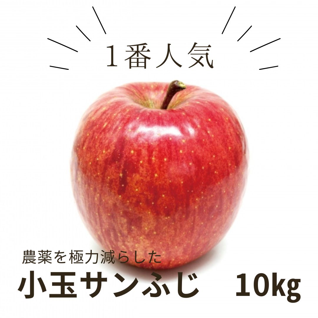 【信州】小玉サンふじ10㎏(12月上旬発送開始予定)