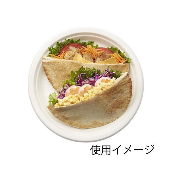 0044660901セット