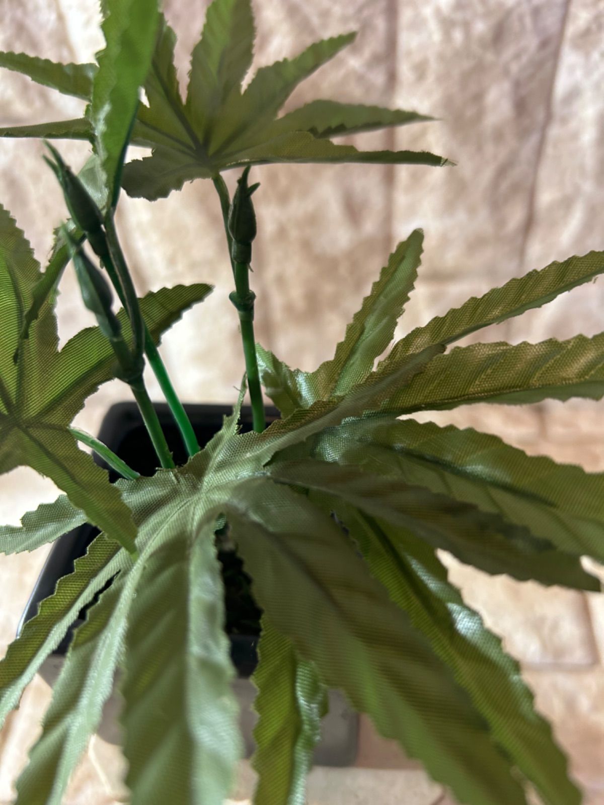 光触媒 人工観葉植物 マリファナ 草 大麻 CBD 123 - メルカリ