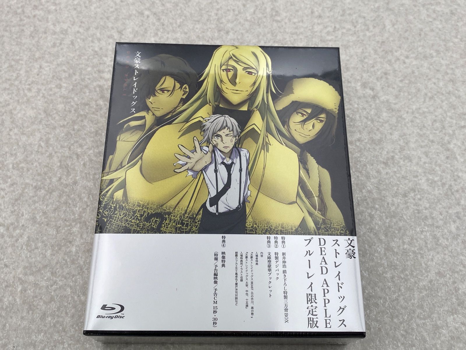 版