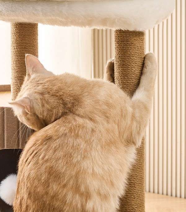 キャットタワー 省スペース