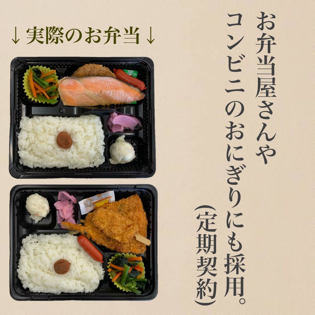 令和4年度 新米 送料無料 農家直送 埼玉県産 彩のきずな 5キロ 白米 - メルカリ