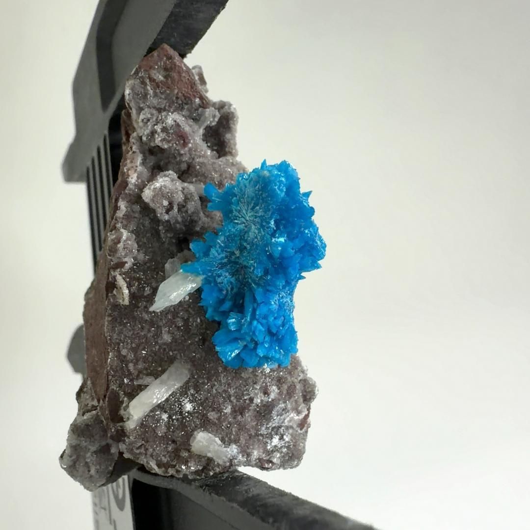 カバンシ石 カバンサイト