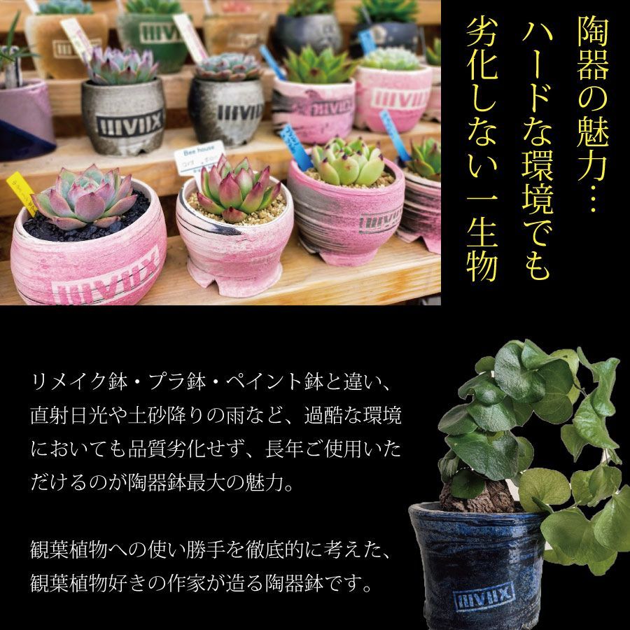 贅沢屋の 未使用長期保管 ツボ 睡蓮鉢 観葉植物鉢 メダカ用 cosmopolite.ma