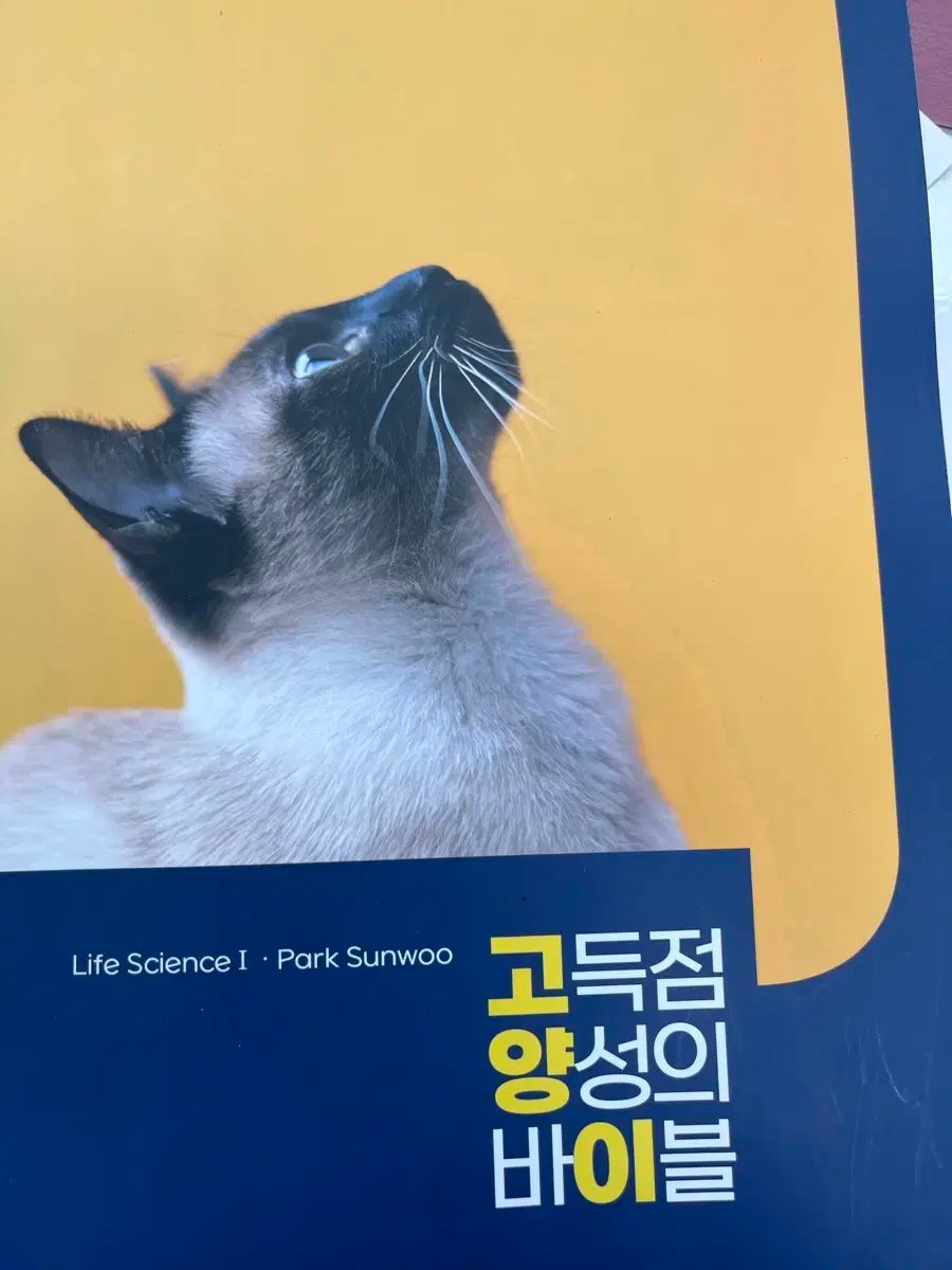 パク・ソンウ 猫