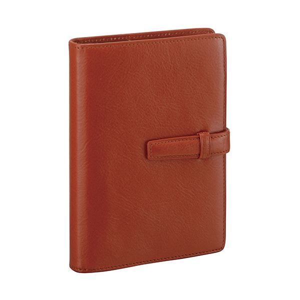 児玉三鈴「暁岳」日本画 赤富士 鶴 金落款 金泥仕様