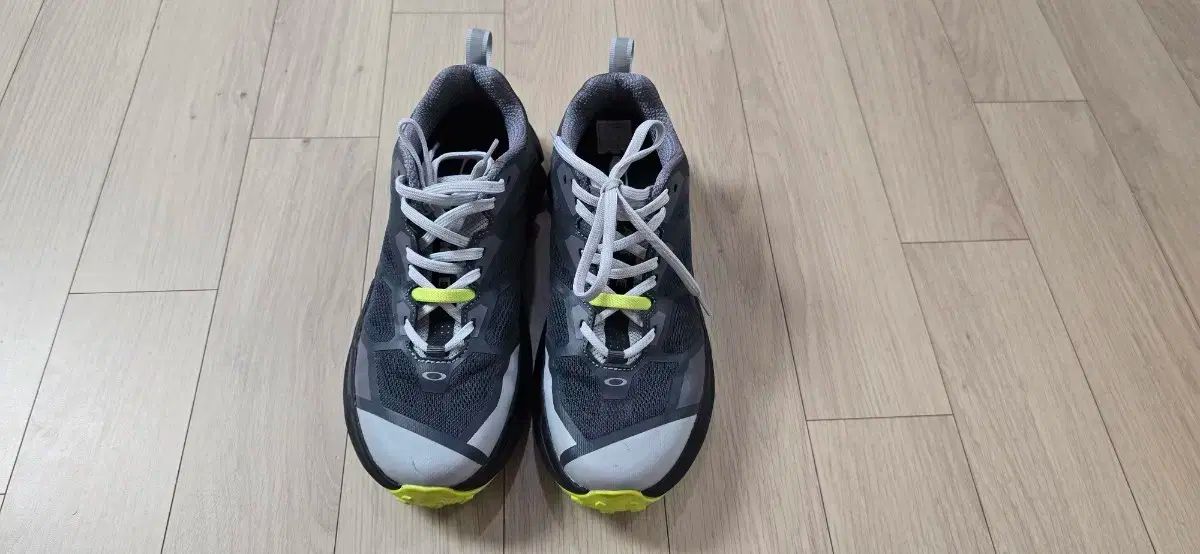 OAKLEY オークリー ライト 繁殖 260mm