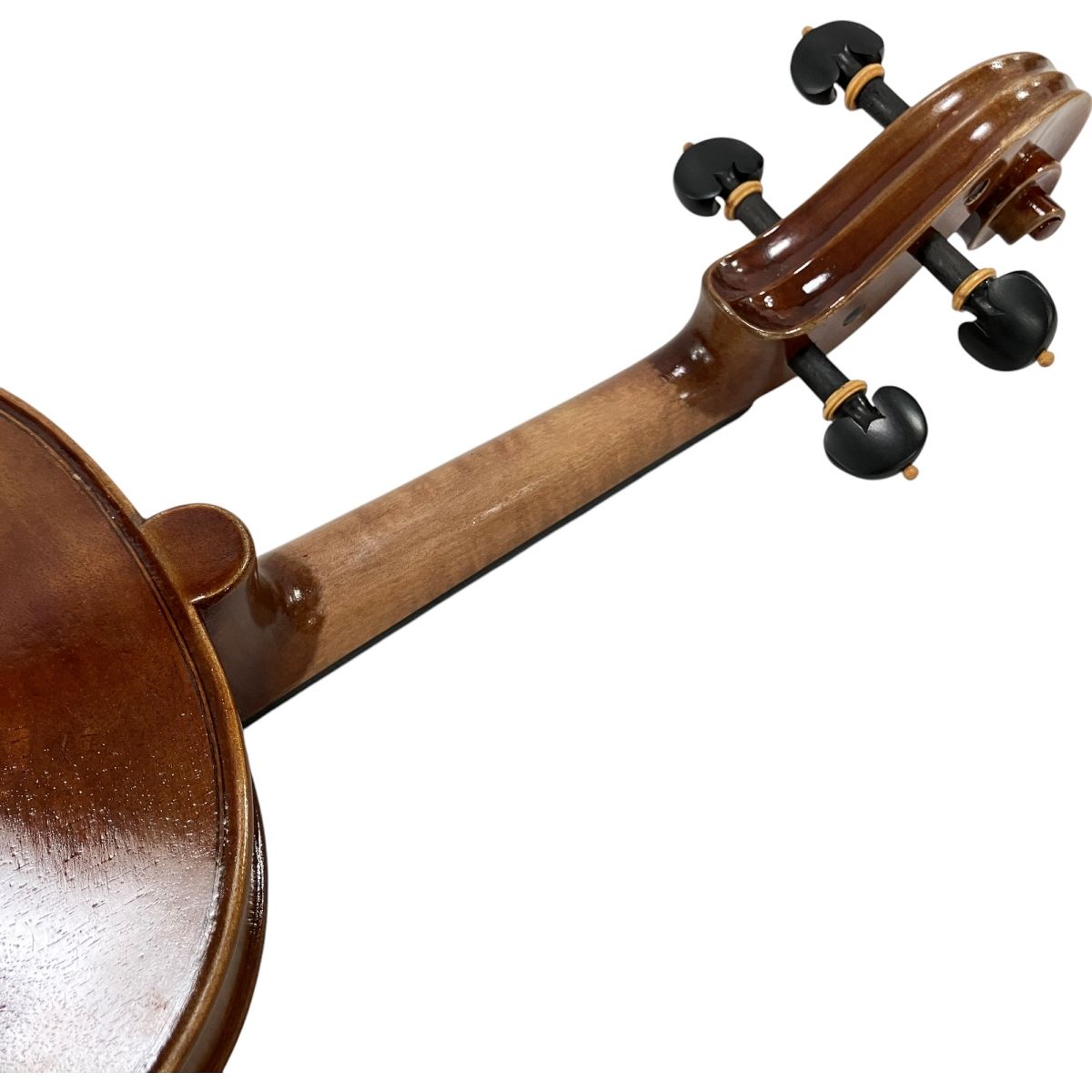 Bella Armonia MODELLI CONTROLATTIA A