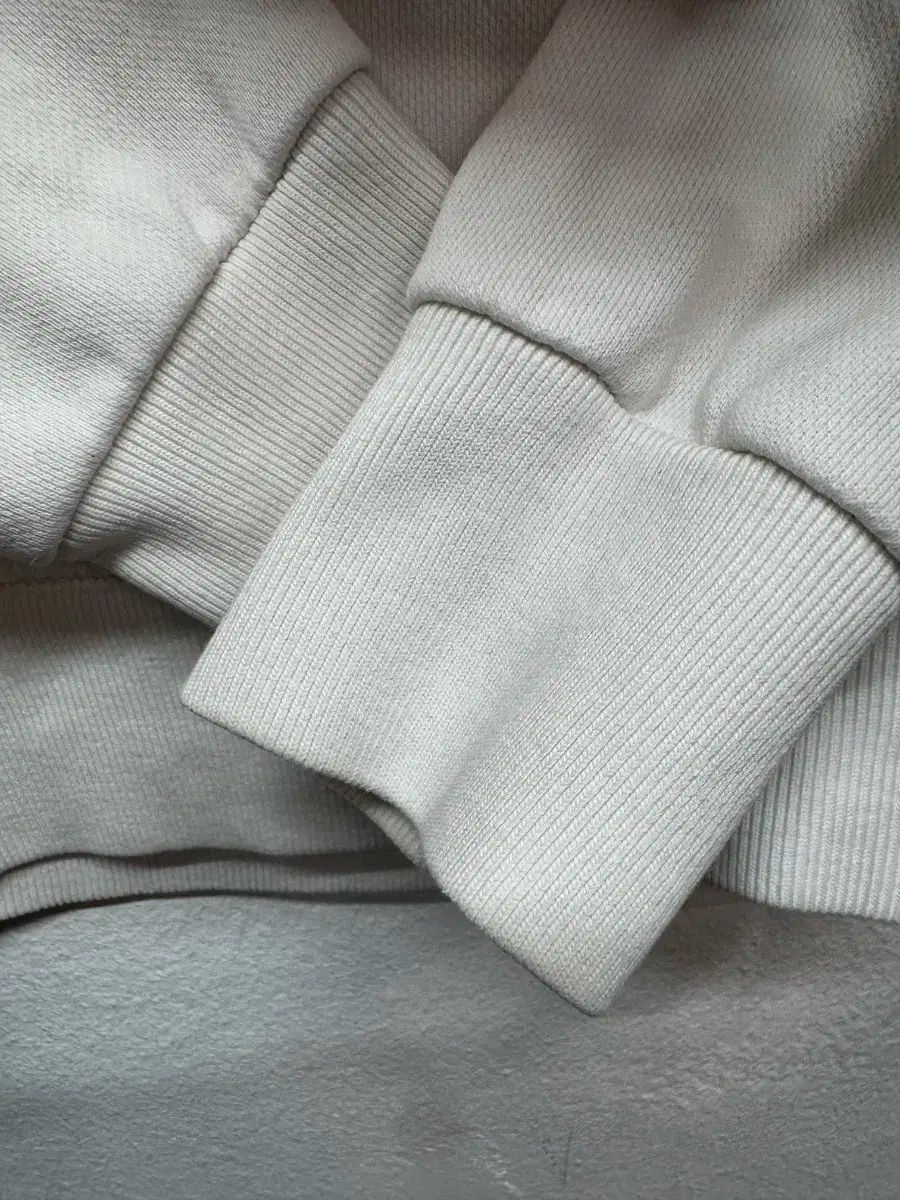 ビックロゴ トレーナー