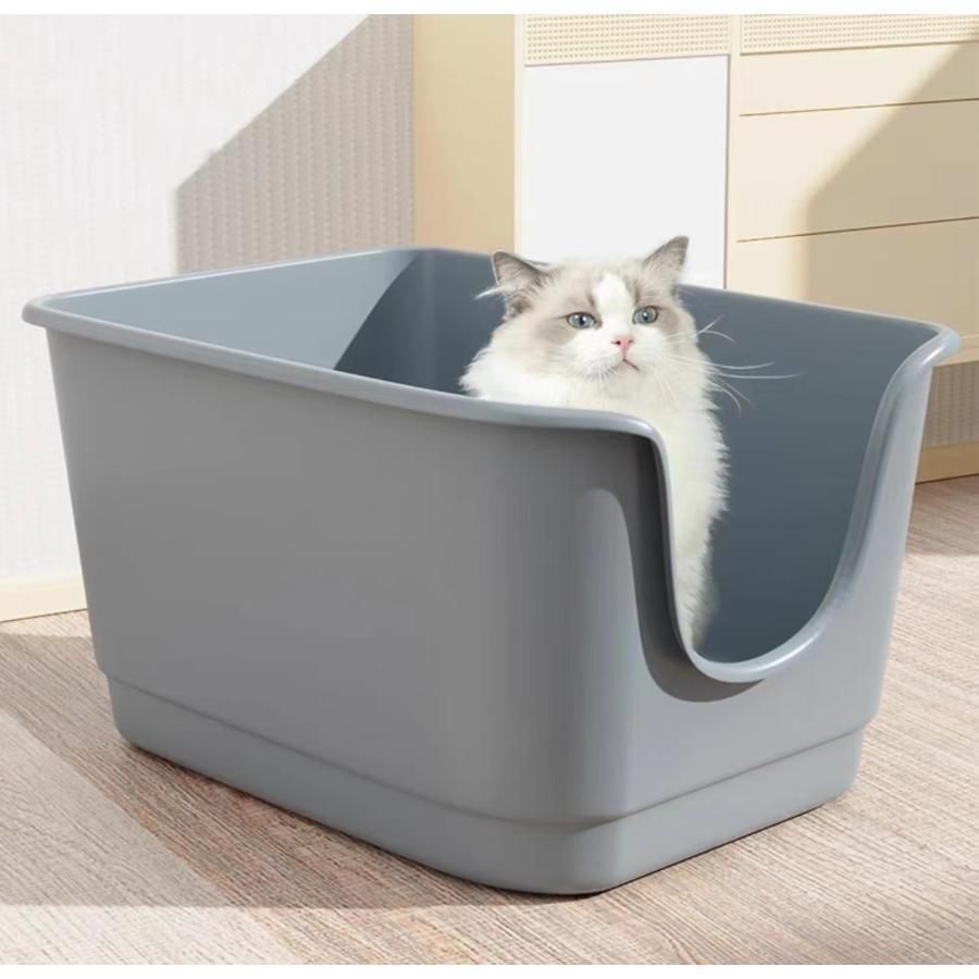 大型 大型ネコ