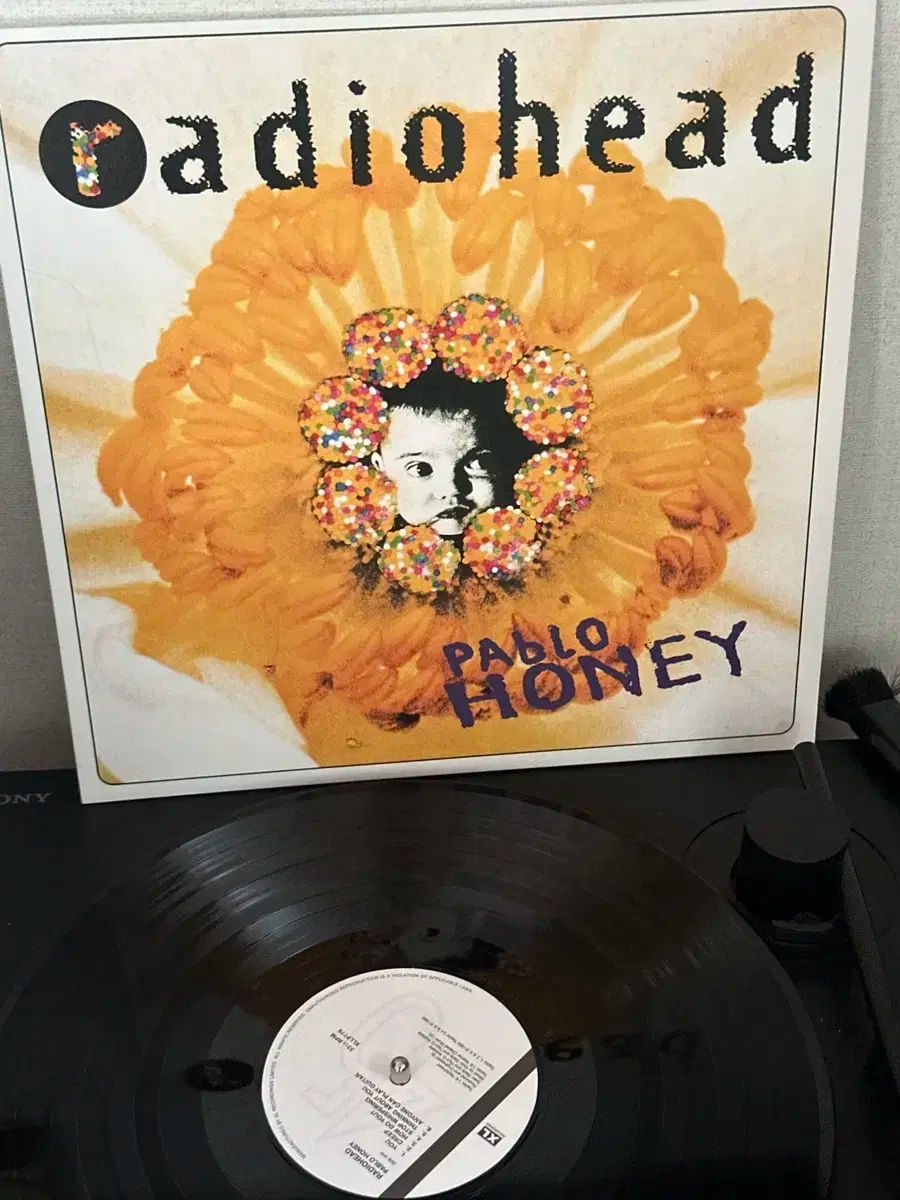 Radiohead『Pablo Honey』LP アナログ レコード Radiohead PABLO HONEY Vinyl LP Record NEW 634904077914| eBay